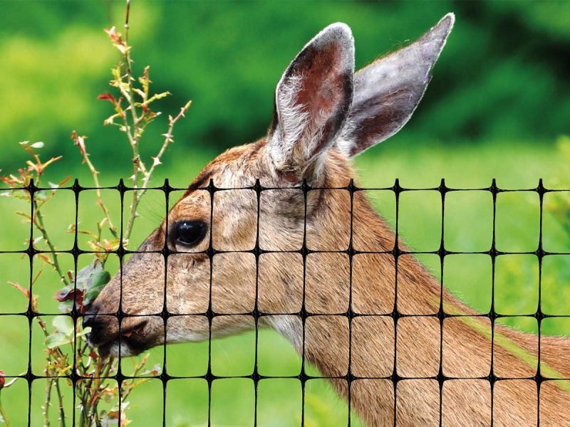 Deer fence reviews